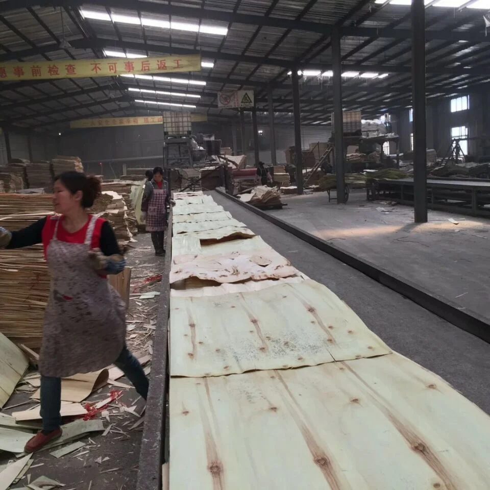 Hot Sell Poplar LVL Scaffold Plank for Construction Usage