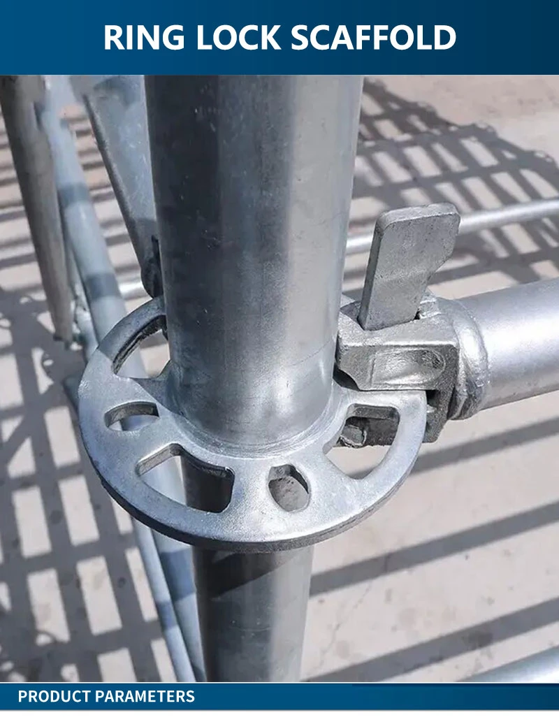 Construction Adjustable Galvanized Metal Aluminum Layer Ringlock Scaffolding System